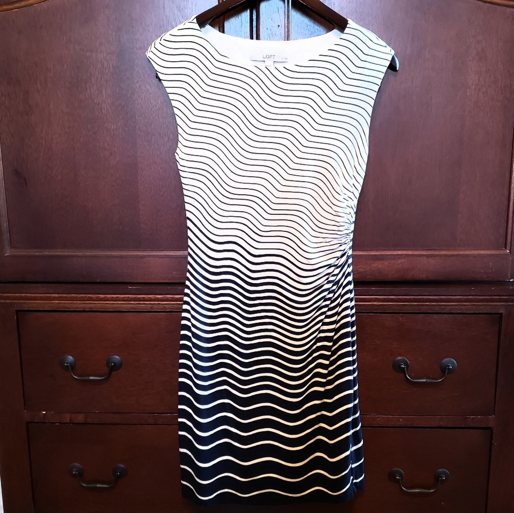 Loft Navy and Cream Dress